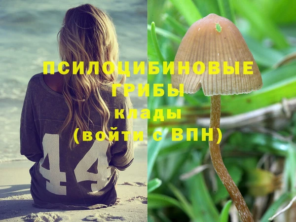 PSILOCYBIN Богданович